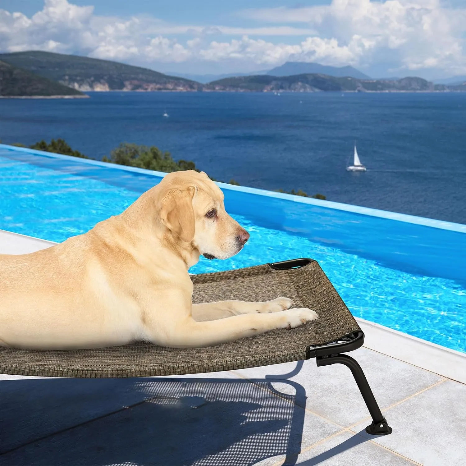 Veehoo Elevated Raised Dog Cot Beds, Curved Outdoor Dog Bed Elevated Dog Bed Off Ground Lifted Hammock Indoor Pet Bed with Breathable Teslin Mesh for Indoor Outdoor, up to 120lbs, Brown 42"