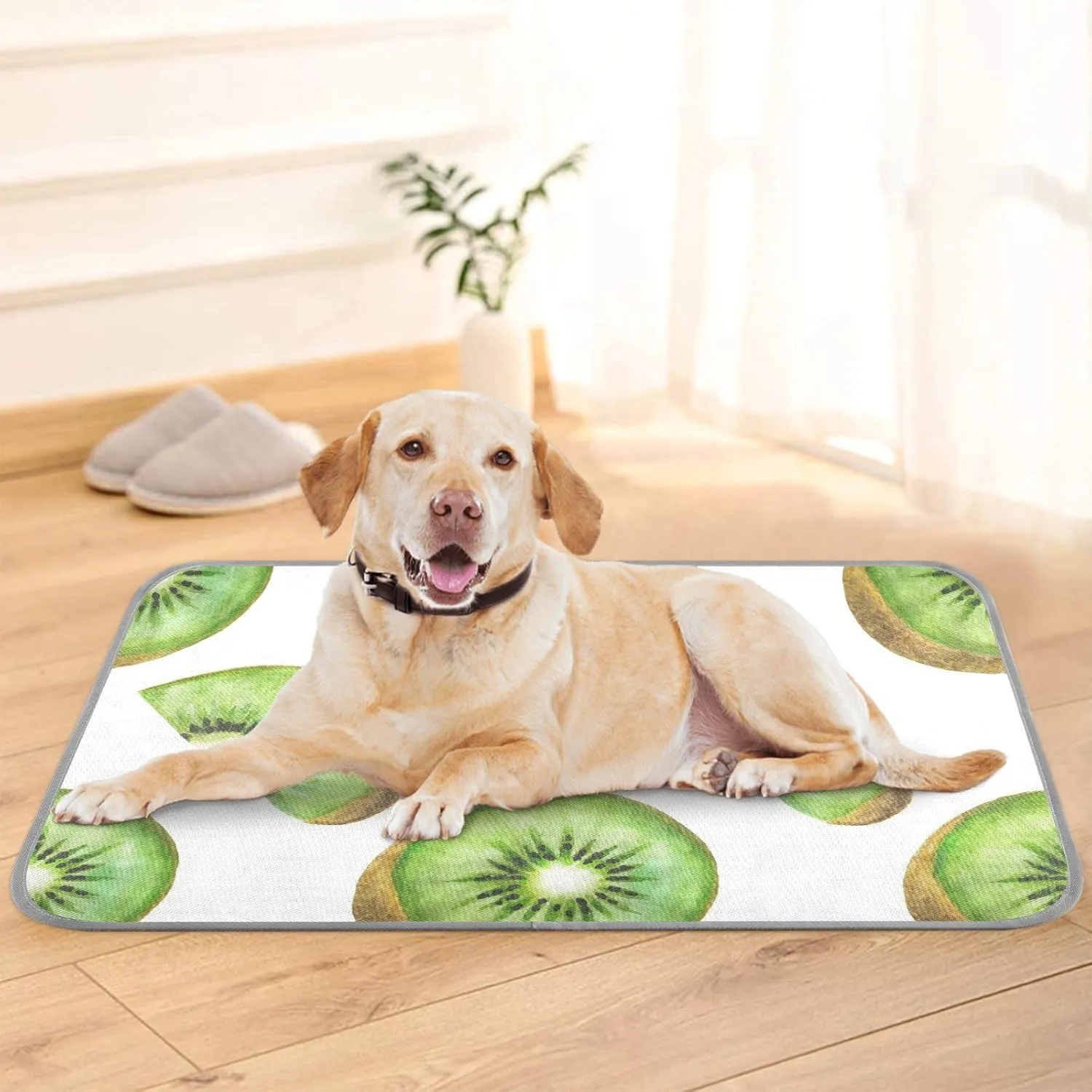 Washable Dog Cooling Mat Summer Fruit Kiwi Summer Cats Sleeping Mat Tropical Green Dog Bed Mats 23.6 * 38.6inch Pet Ice Silk Sleep Kennel Pad Animal Sleep Bed for Home Outdoor Travel