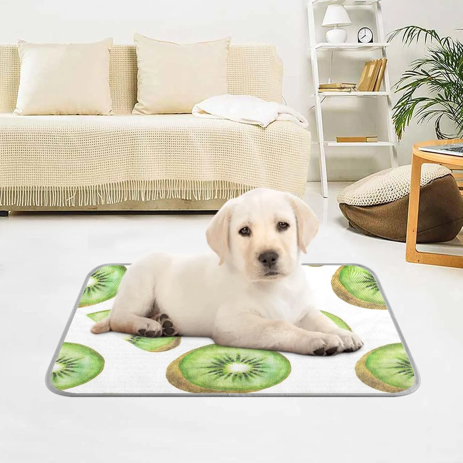 Washable Dog Cooling Mat Summer Fruit Kiwi Summer Cats Sleeping Mat Tropical Green Dog Bed Mats 23.6 * 38.6inch Pet Ice Silk Sleep Kennel Pad Animal Sleep Bed for Home Outdoor Travel